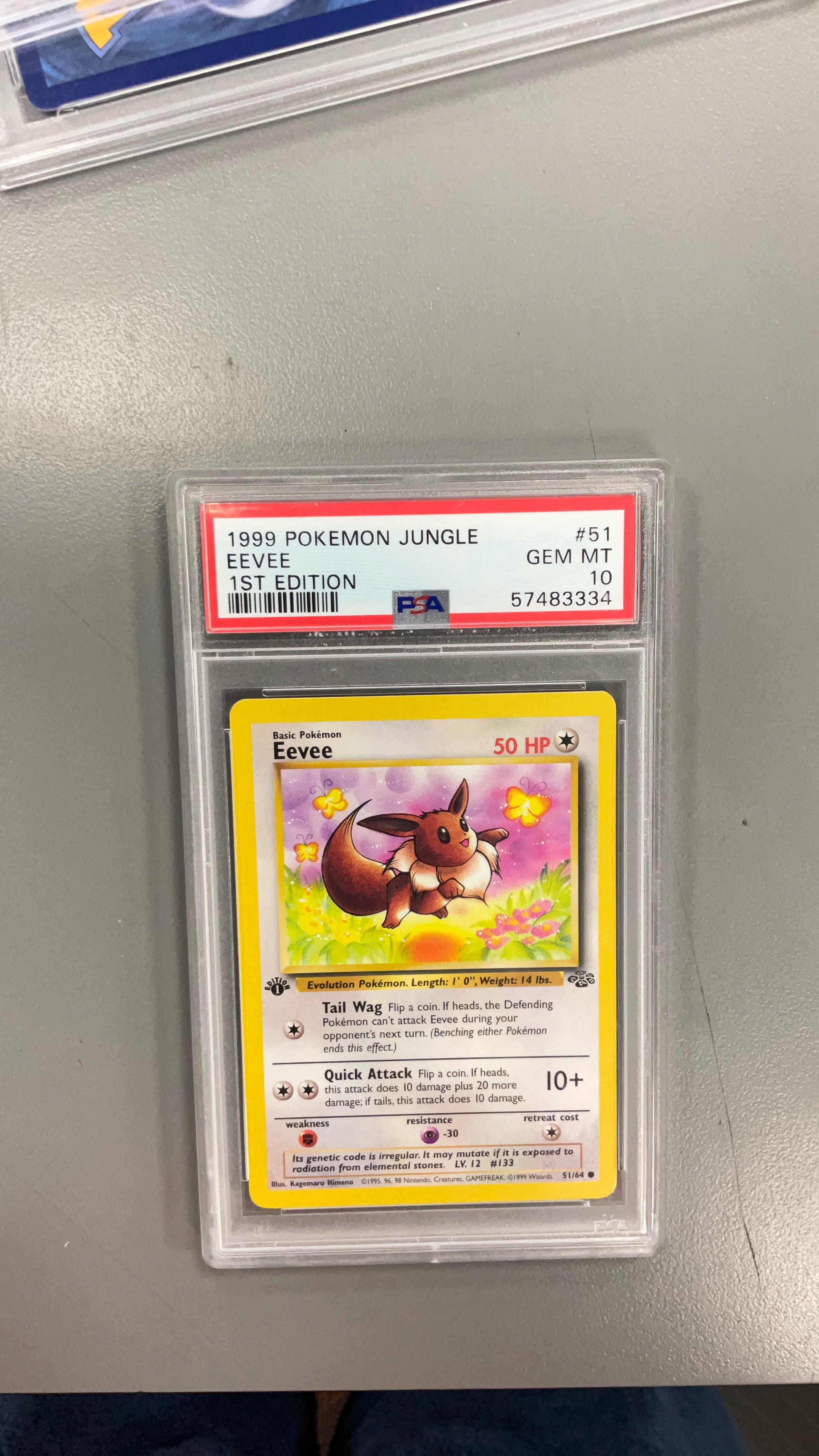 Jungle Eevee 51 PSA 10 Pokemon graded card
