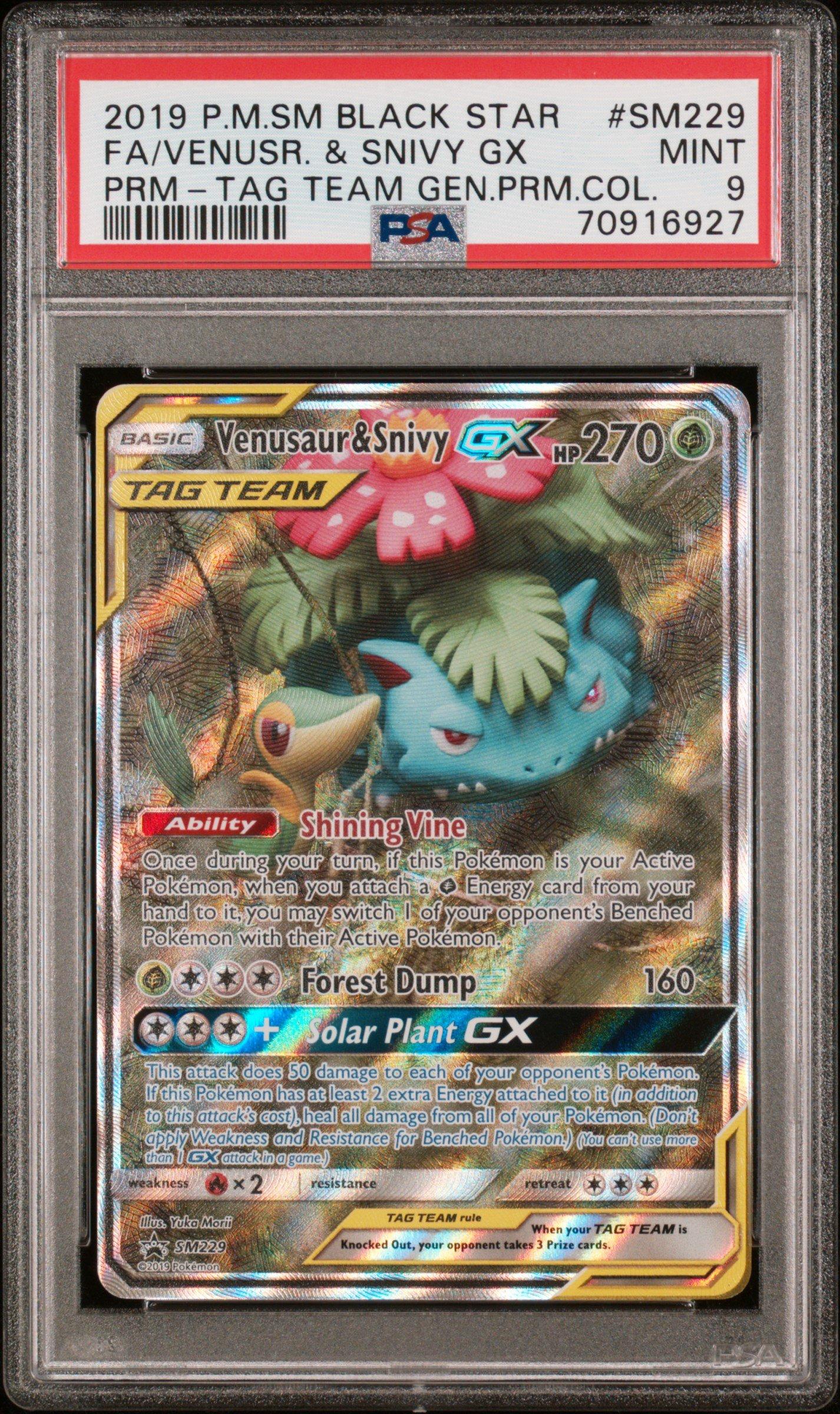 2019 Pokemon Sm Black Star Promo Sm229 Fa/venusr. & Snivy Gx PSA