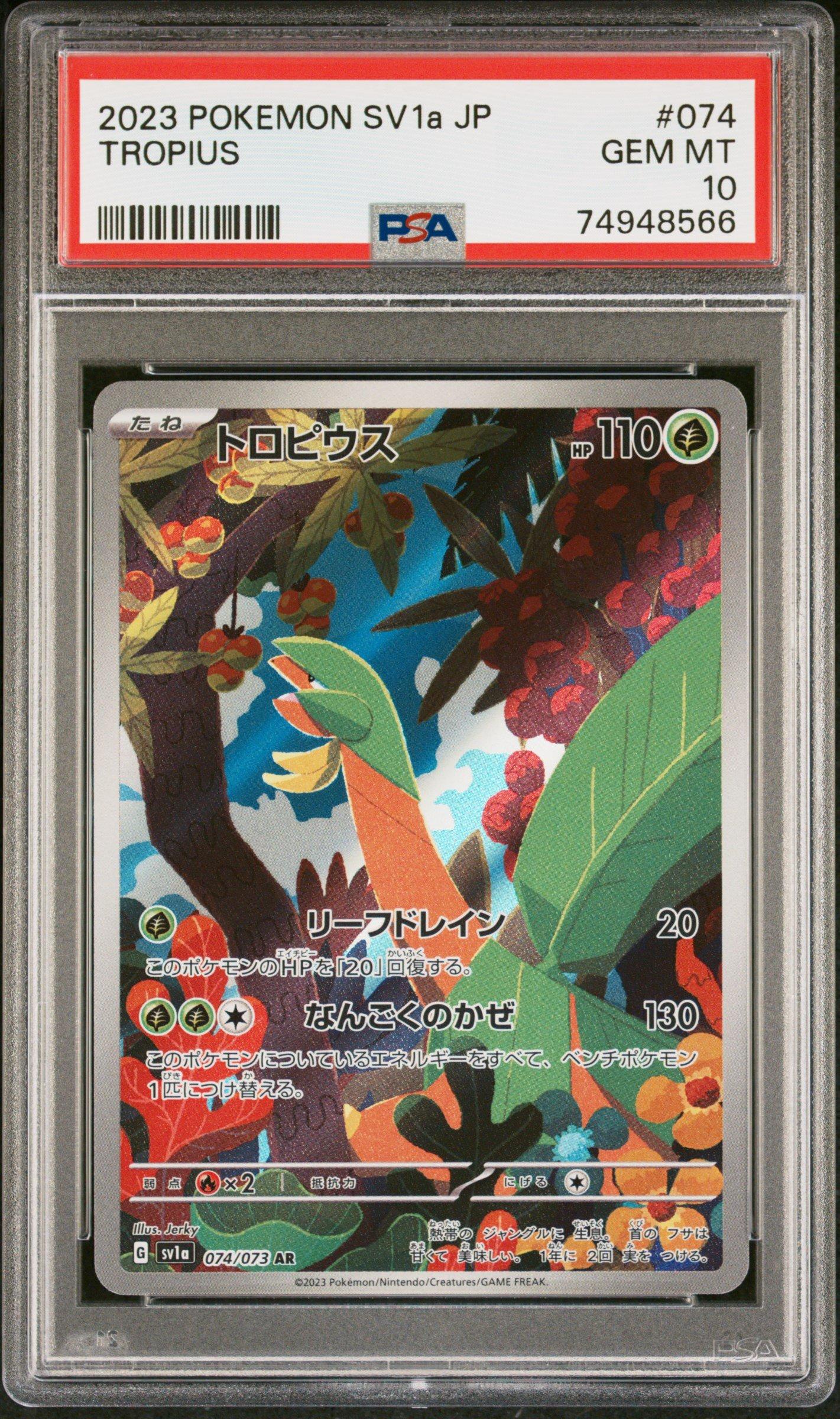 mega ex card pokemon Ascended Heroes Mega ex Box