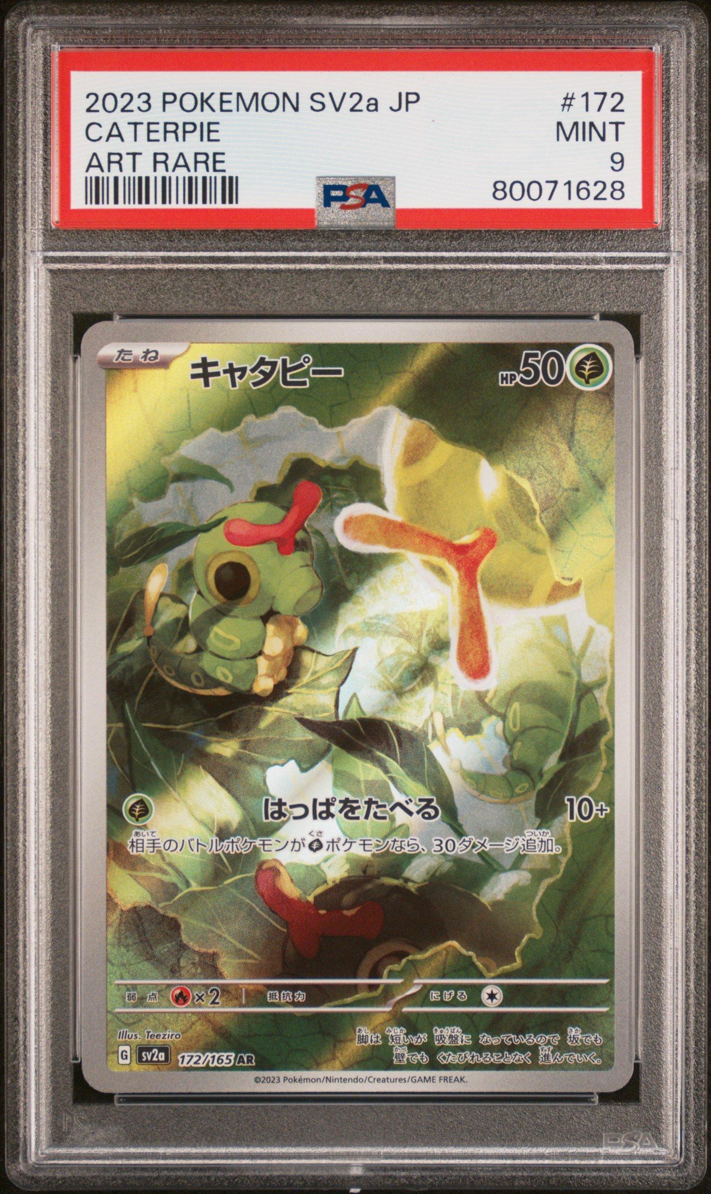 rare caterpie card CATERPIE PSA 8 ILLUSTRATION RARE – IGI CARDS main image 1