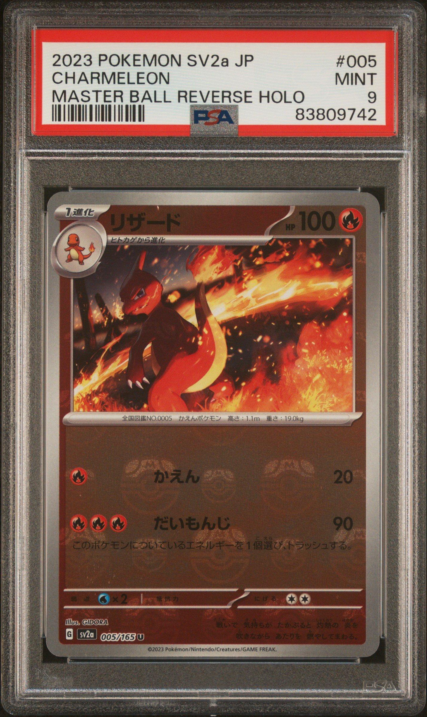 charmeleon holographic pokemon card 10/108 Reverse Holo Near Mint 005/165 / Uncommon Card Type / HP / Stage Pokemon Scarlet & Violet 151