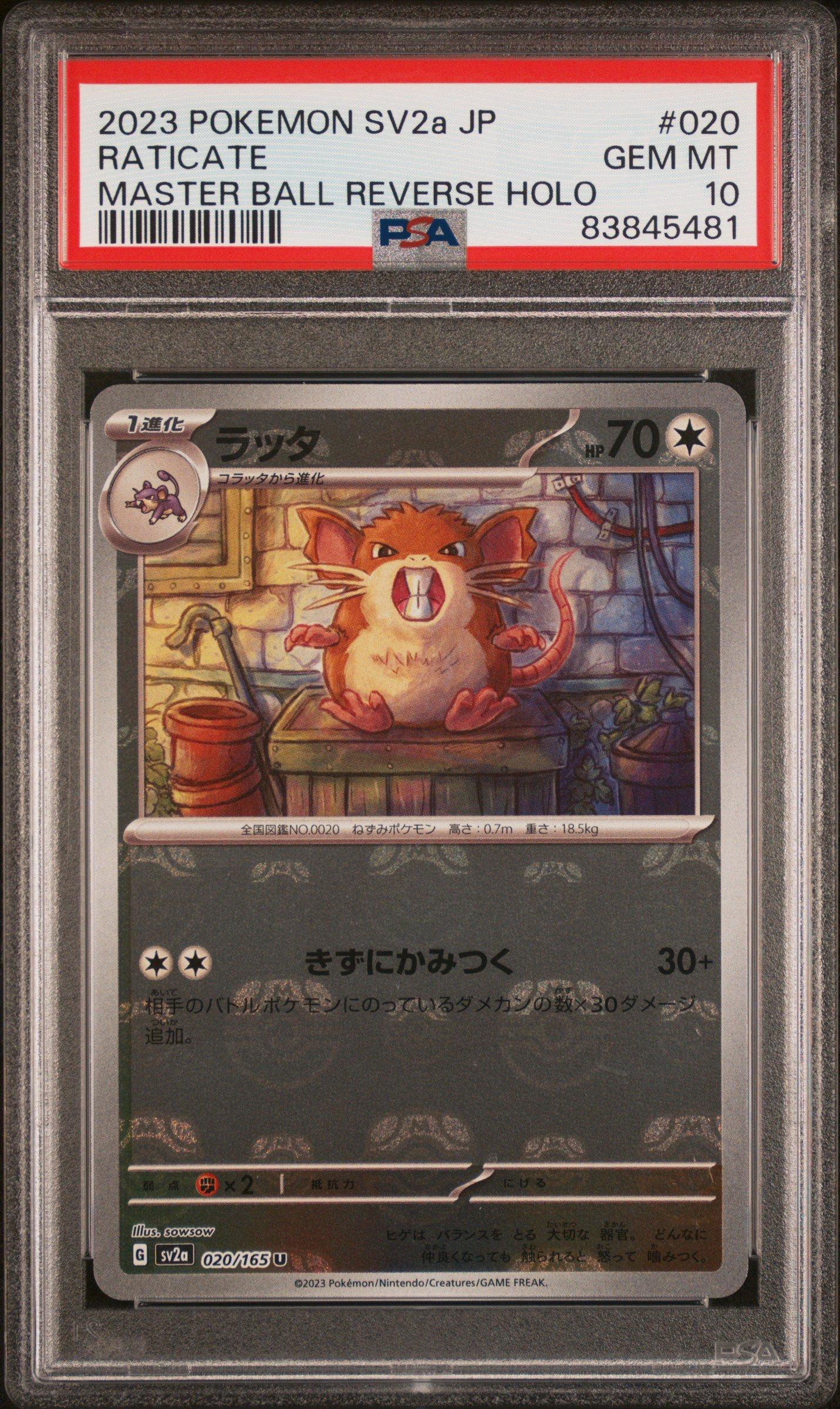 2023 Pokemon Japanese Sv2a-pokemon 151 020 Raticate PSA 10