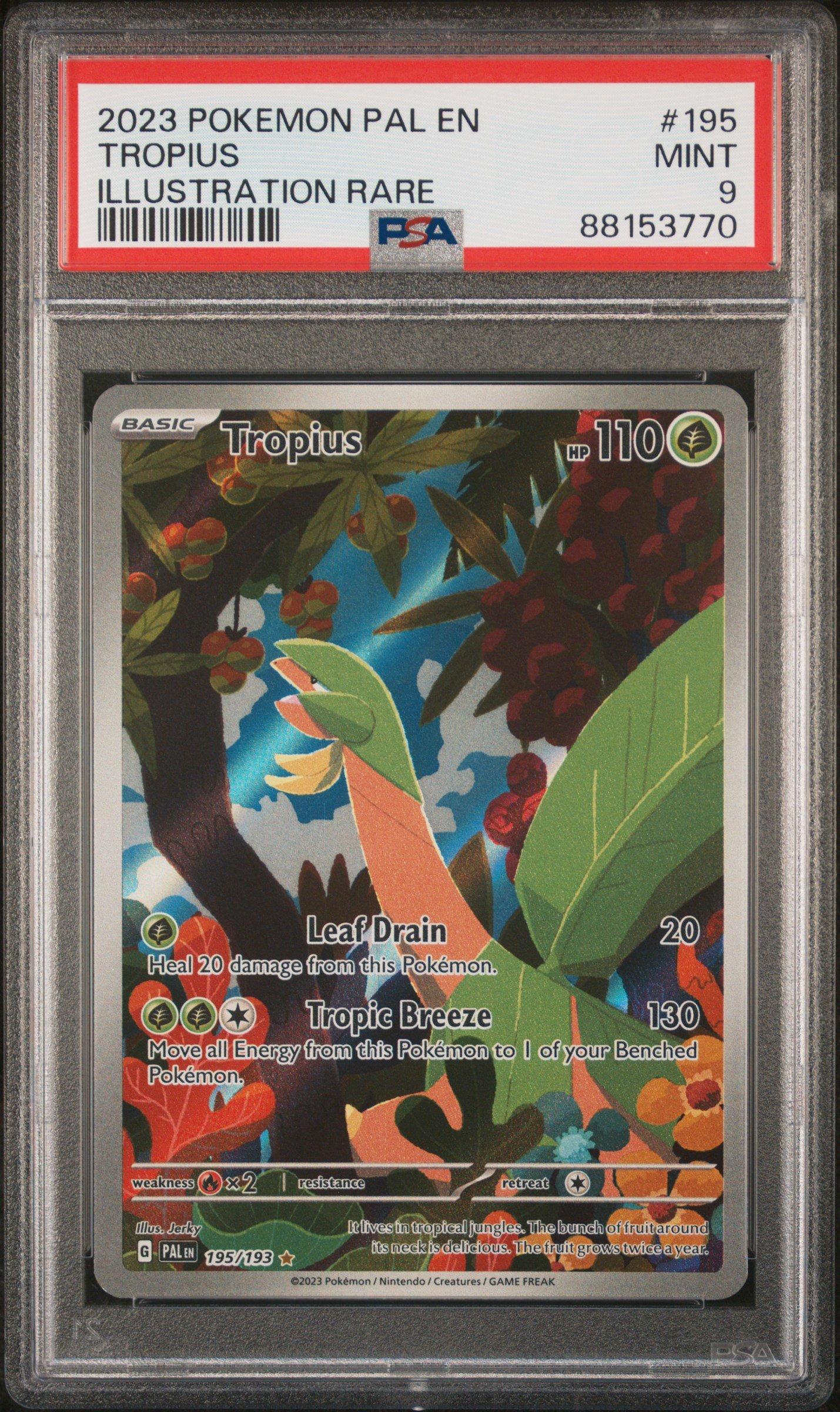 2023 Pokemon Pal En-paldea Evolved 195 Tropius Illustration Rare PSA 9  Graded Card | GameStop