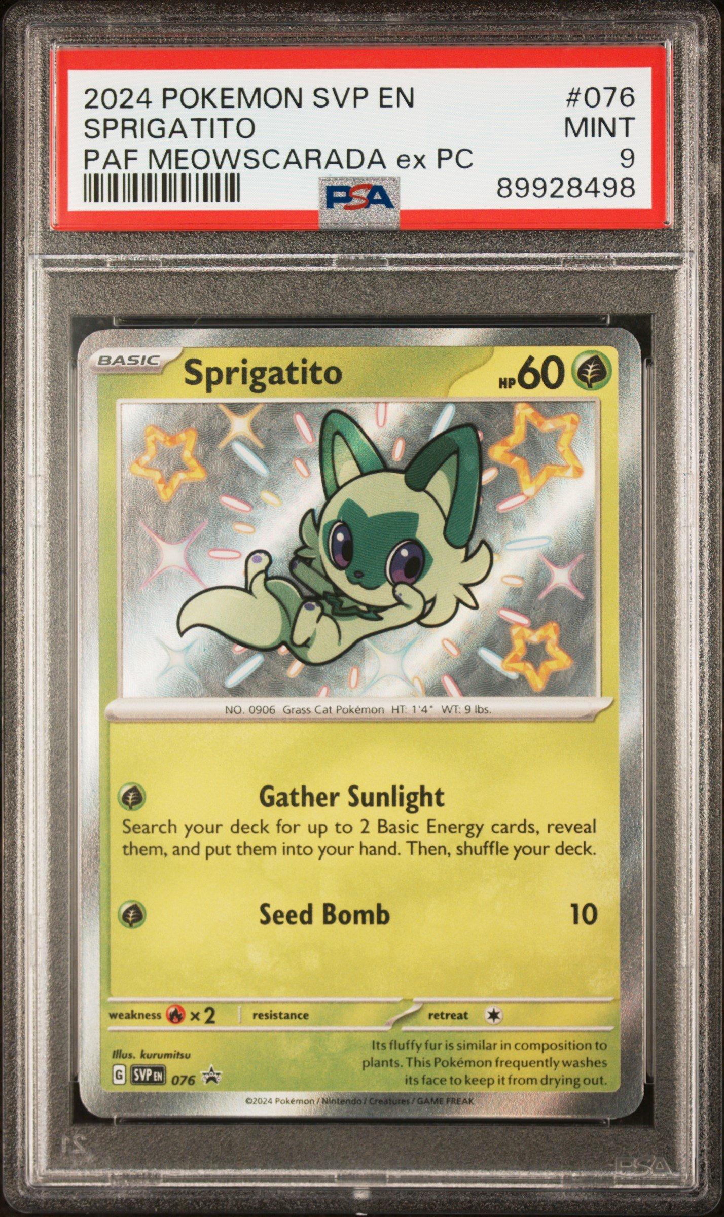 2024 Pokemon Svp En-sv Black Star Promo 076 Sprigatito Paldean