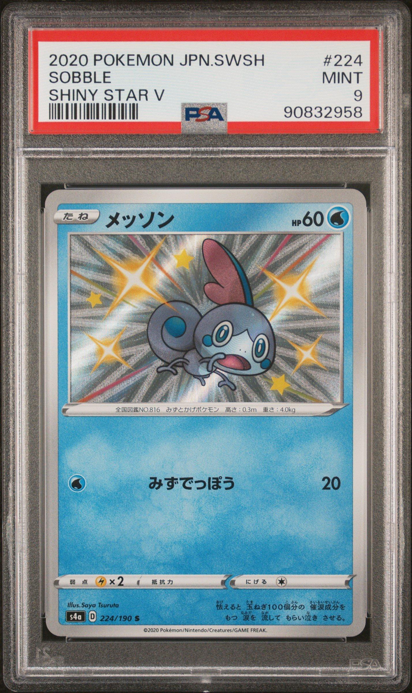 今叶星　ssp　PSA8 31yzxQLP8QL.jpg_BO30,255,255,
