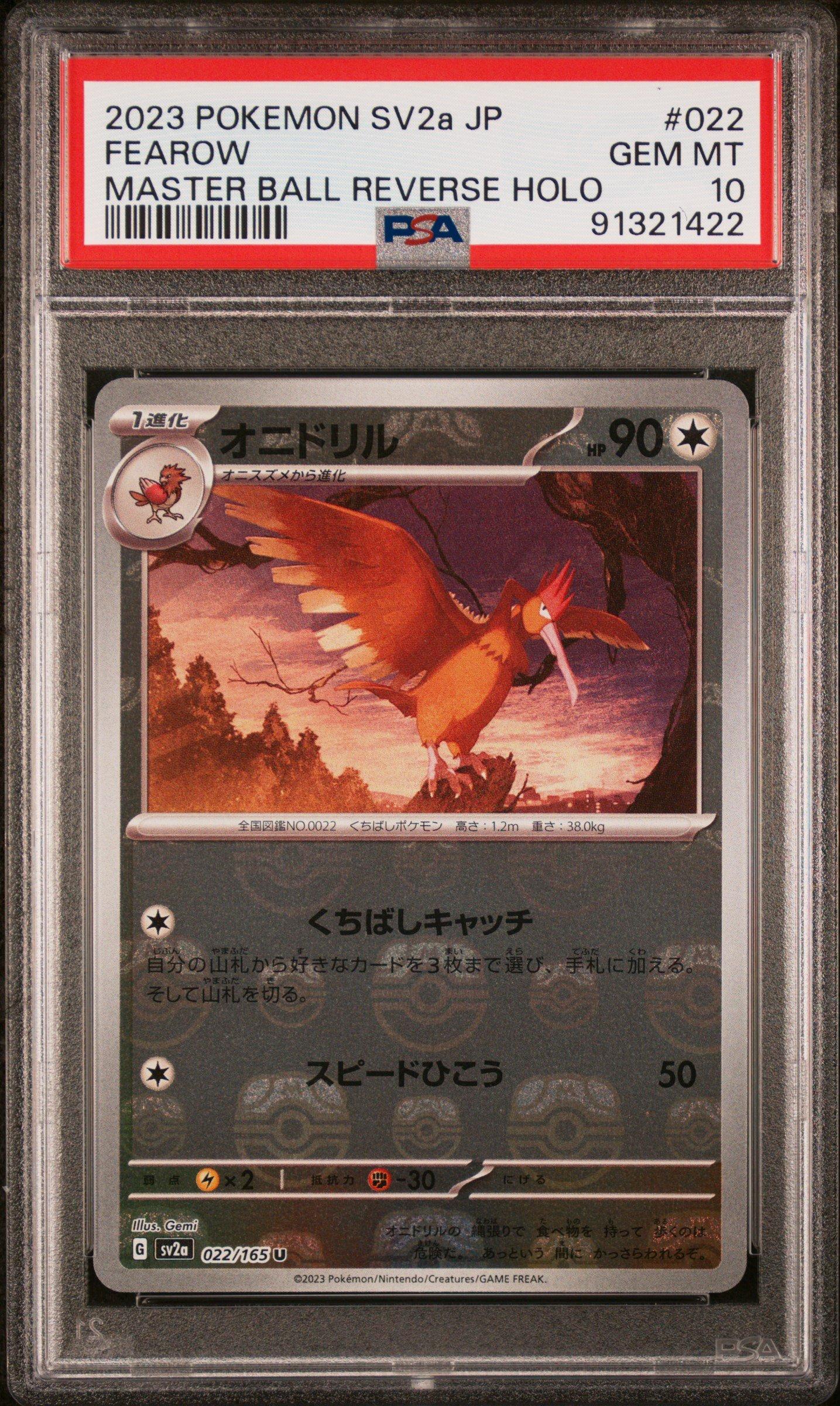 litten pokemon card holographic Pokemon  Litten 167/162