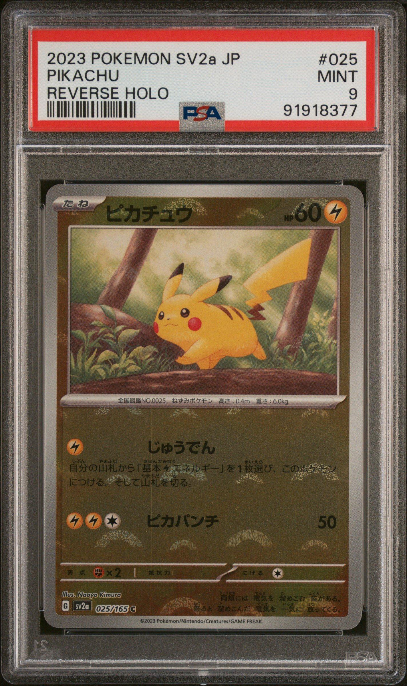 2023 Pokémon SV2a JP ピカチュウ #025 Pikachu 025/165 C Pokemon Card Japanese Pokemon Card 151