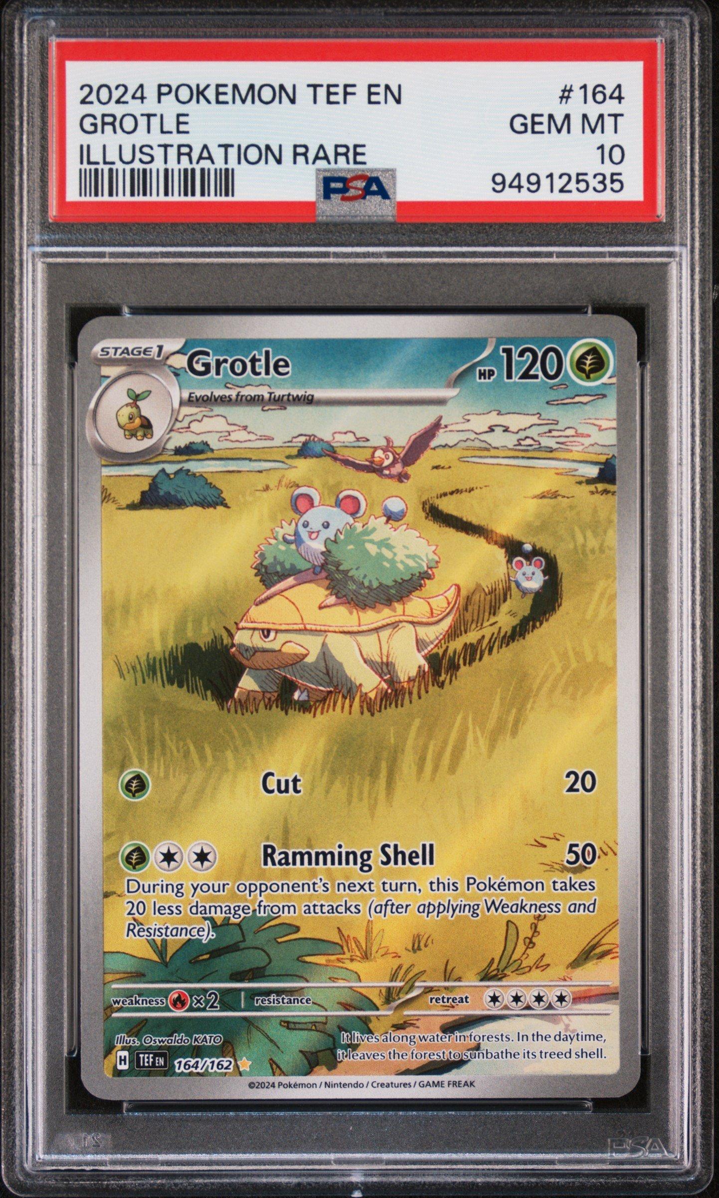 2024 Pokemon Tef En-temporal Forces 164 Grotle Illustration Rare PSA 10  Graded Card | GameStop