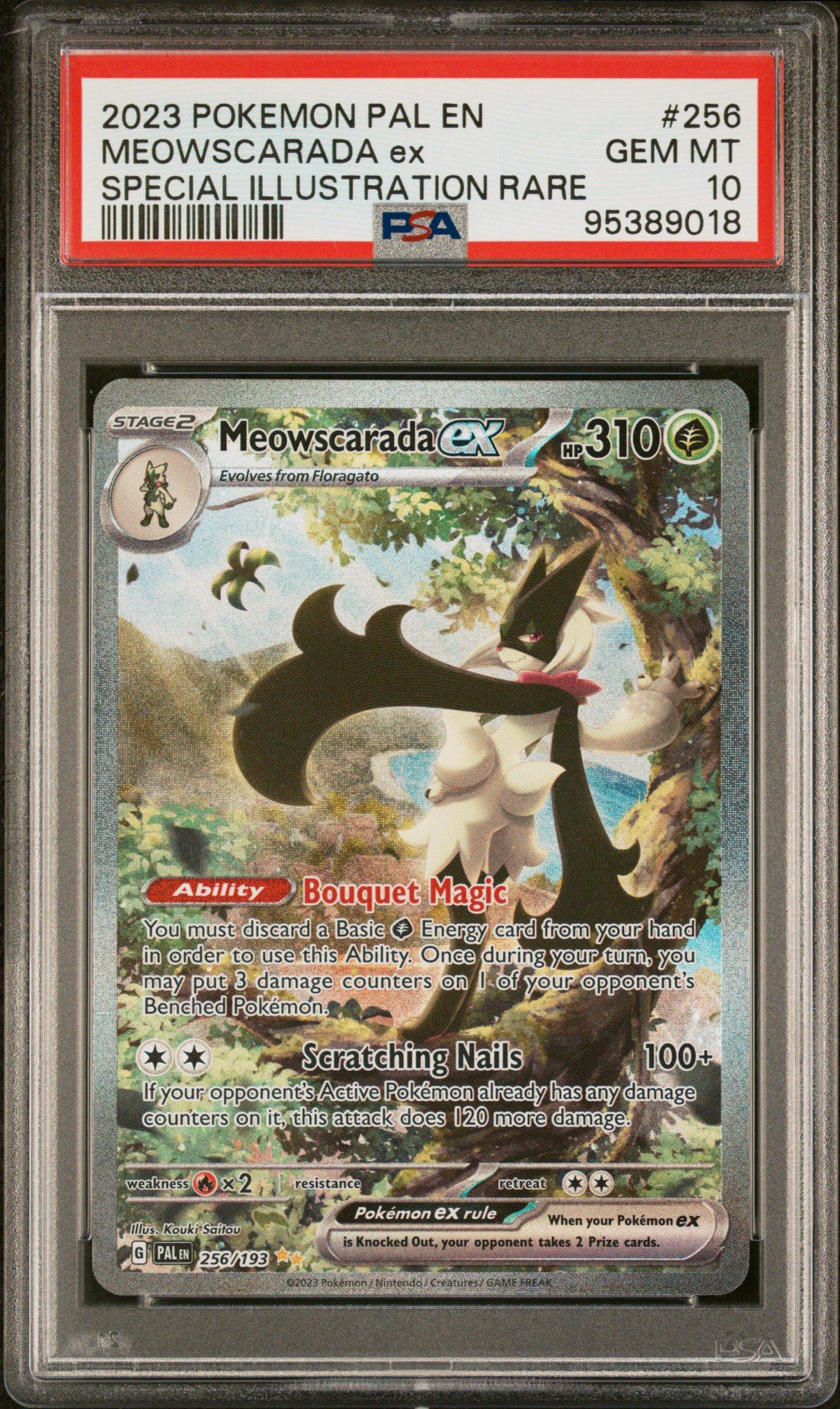 Psa Grading Specials - 7j1dijm