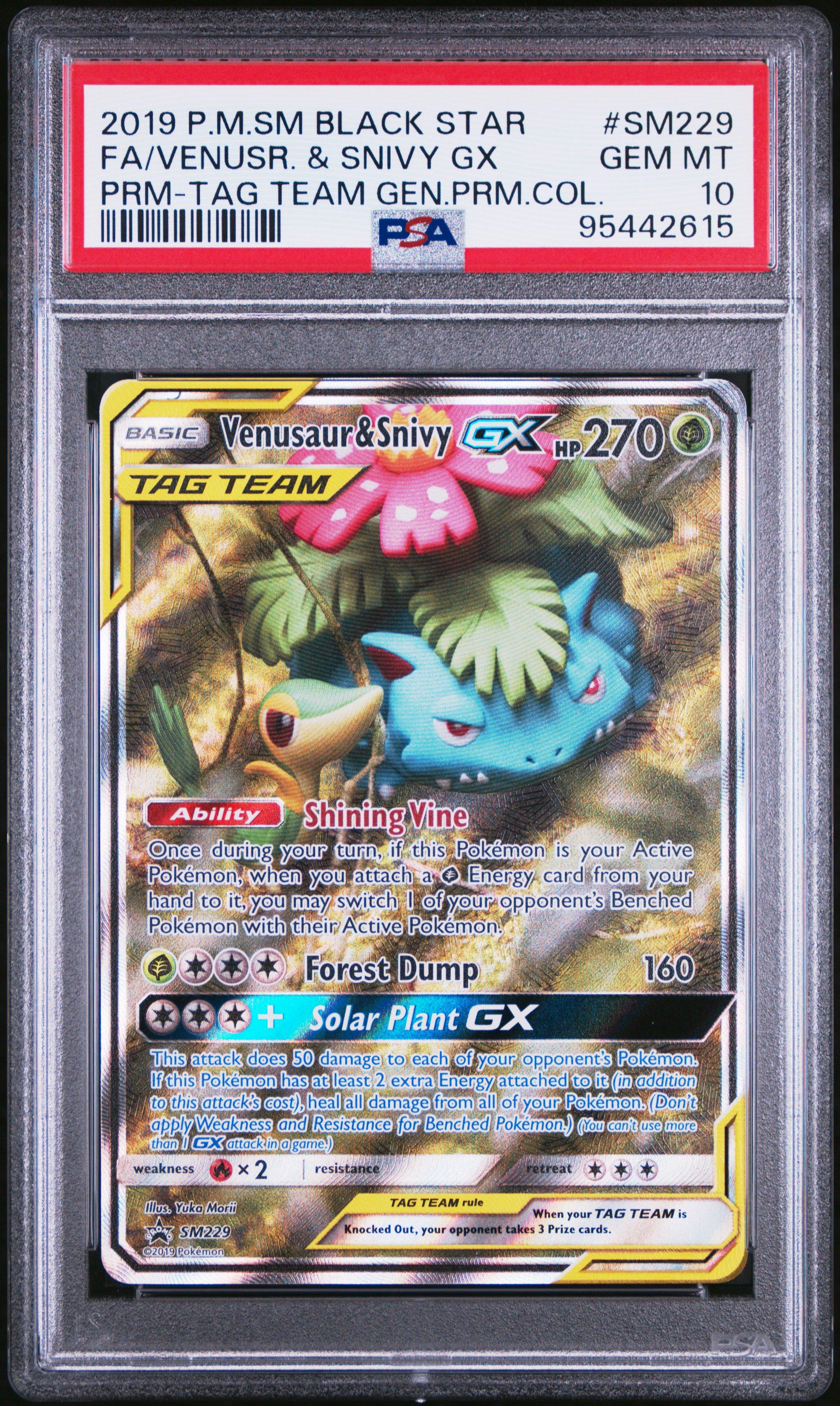 2019 Pokemon Sm Black Star Promo Sm229 Full Art/venusaur & Snivy