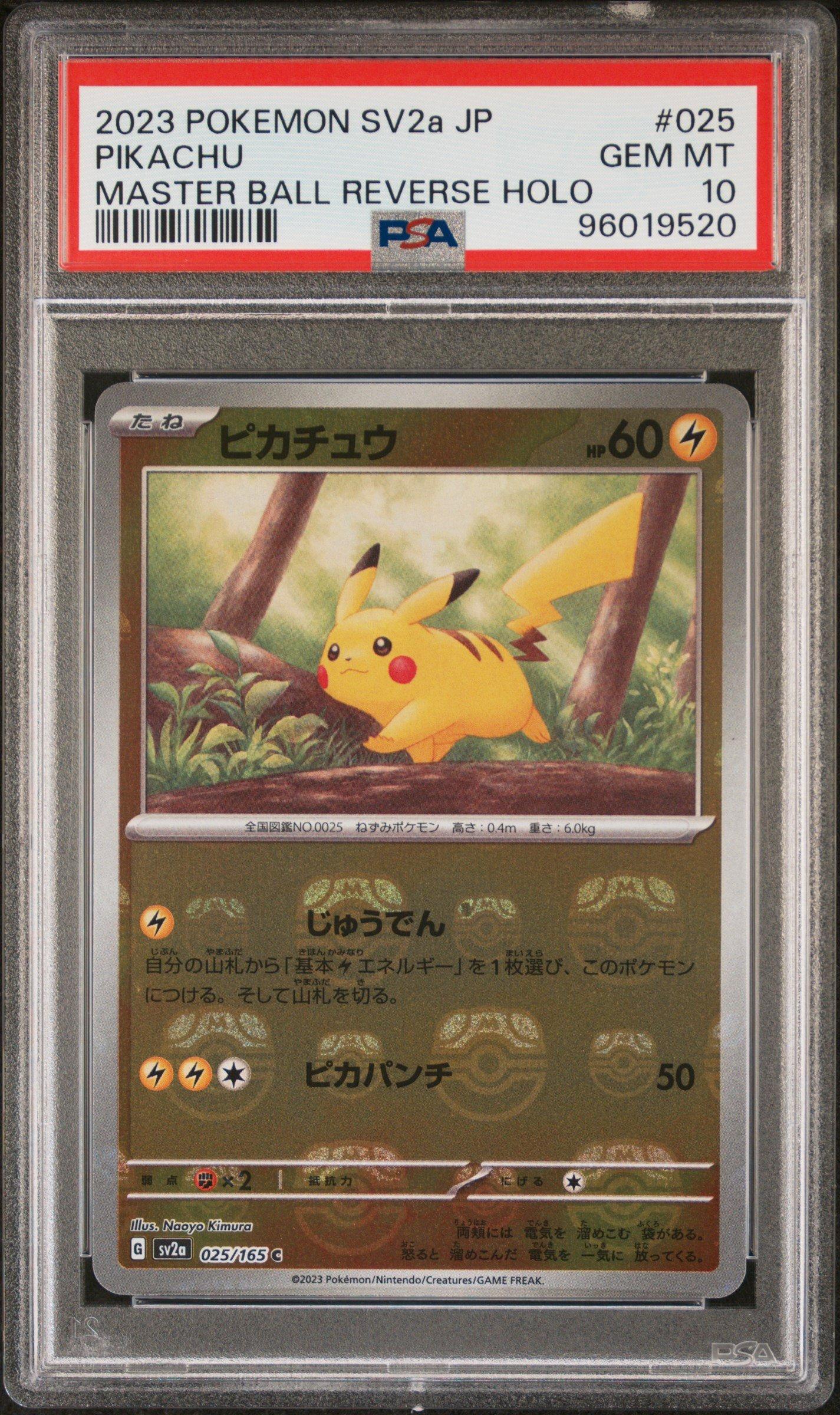sell psa graded cards How To Get Pokmon Cards Graded