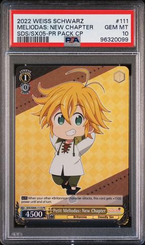 2019 WGP WISE SCHWARZ レム PSA 10