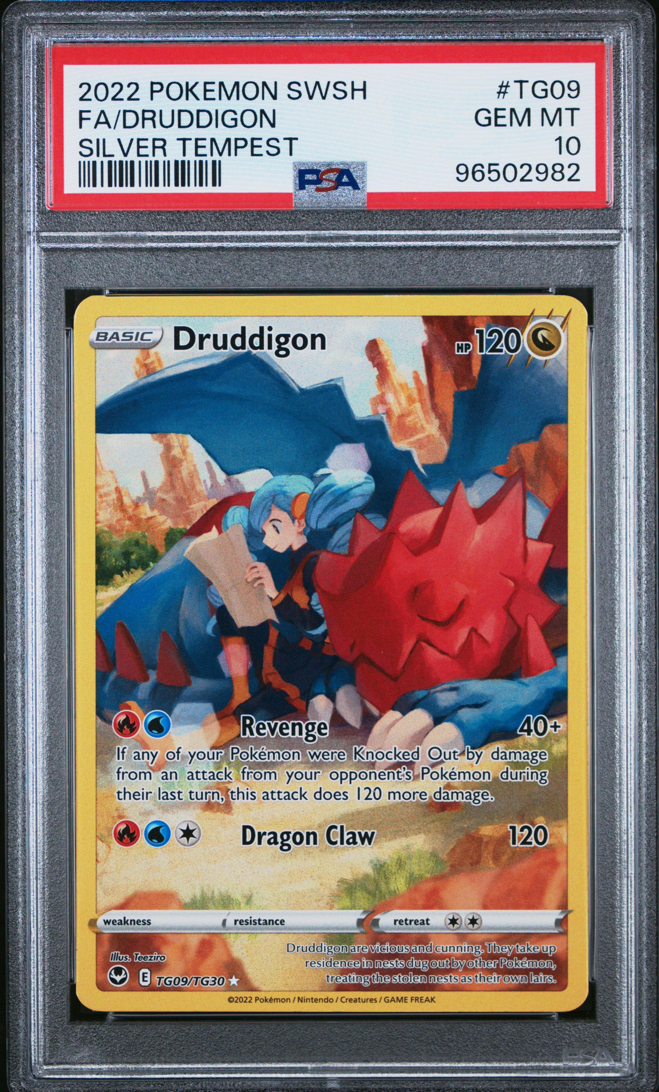 2022 Pokemon Sword & Shield Silver Tempest Tg09 Full Art/druddigon