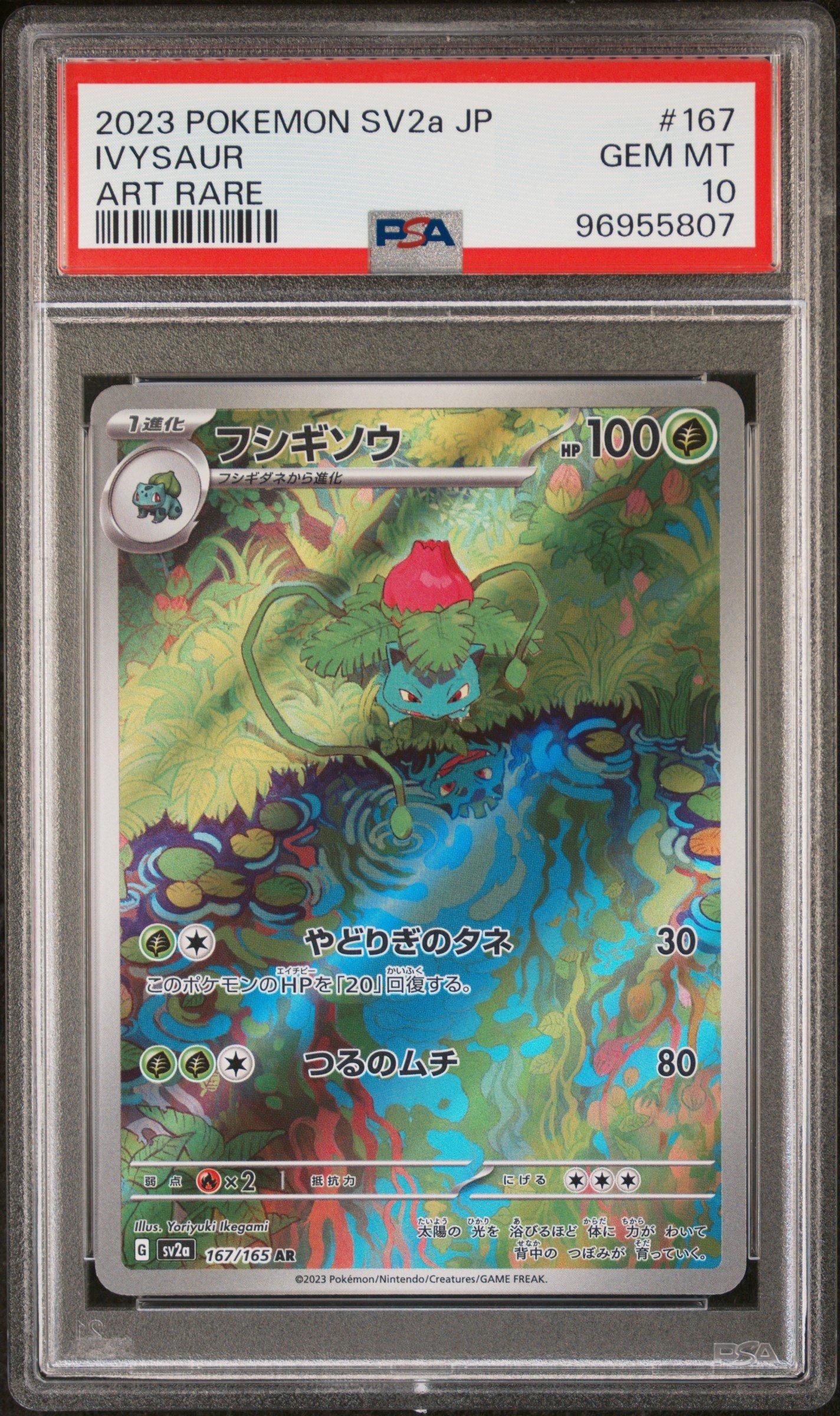 2023 Pokemon Japanese Sv2a-pokemon 151 167 Ivysaur Art Rare PSA 10