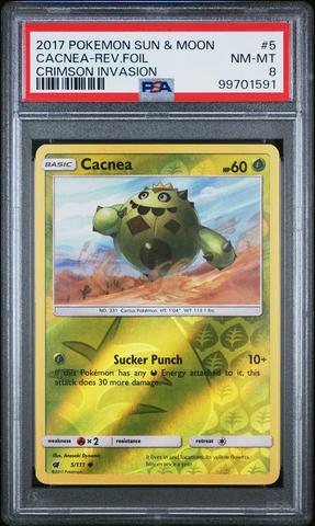 タロ　psa9 2024 タロ PSA 9 - カルドバ