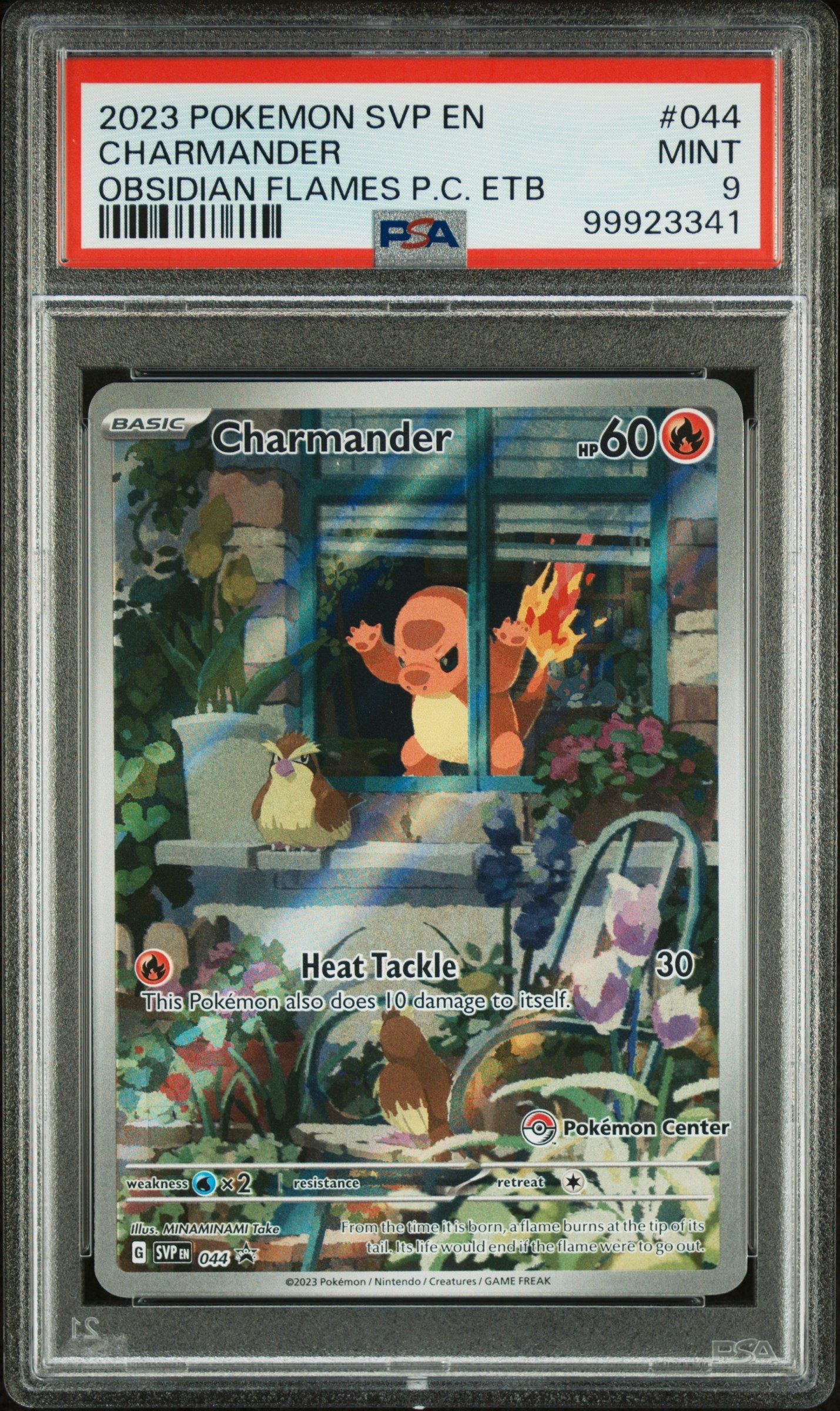 pokemon card advent calander Pokemon - Electric Type Special