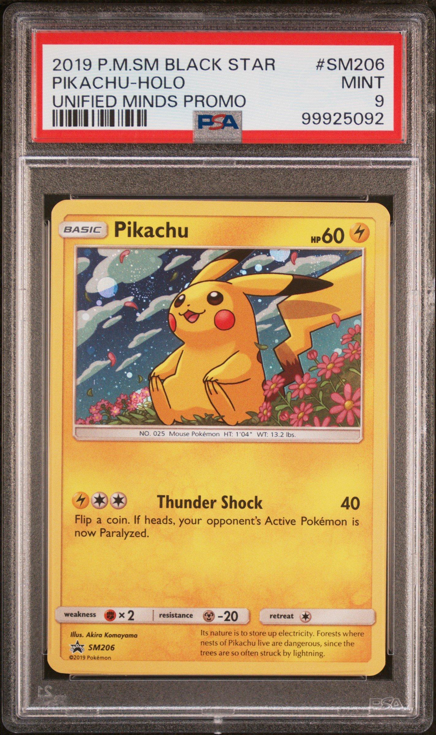 2019 Pokemon Sm Black Star Promo Sm206 Pikachu-holo Unified Minds