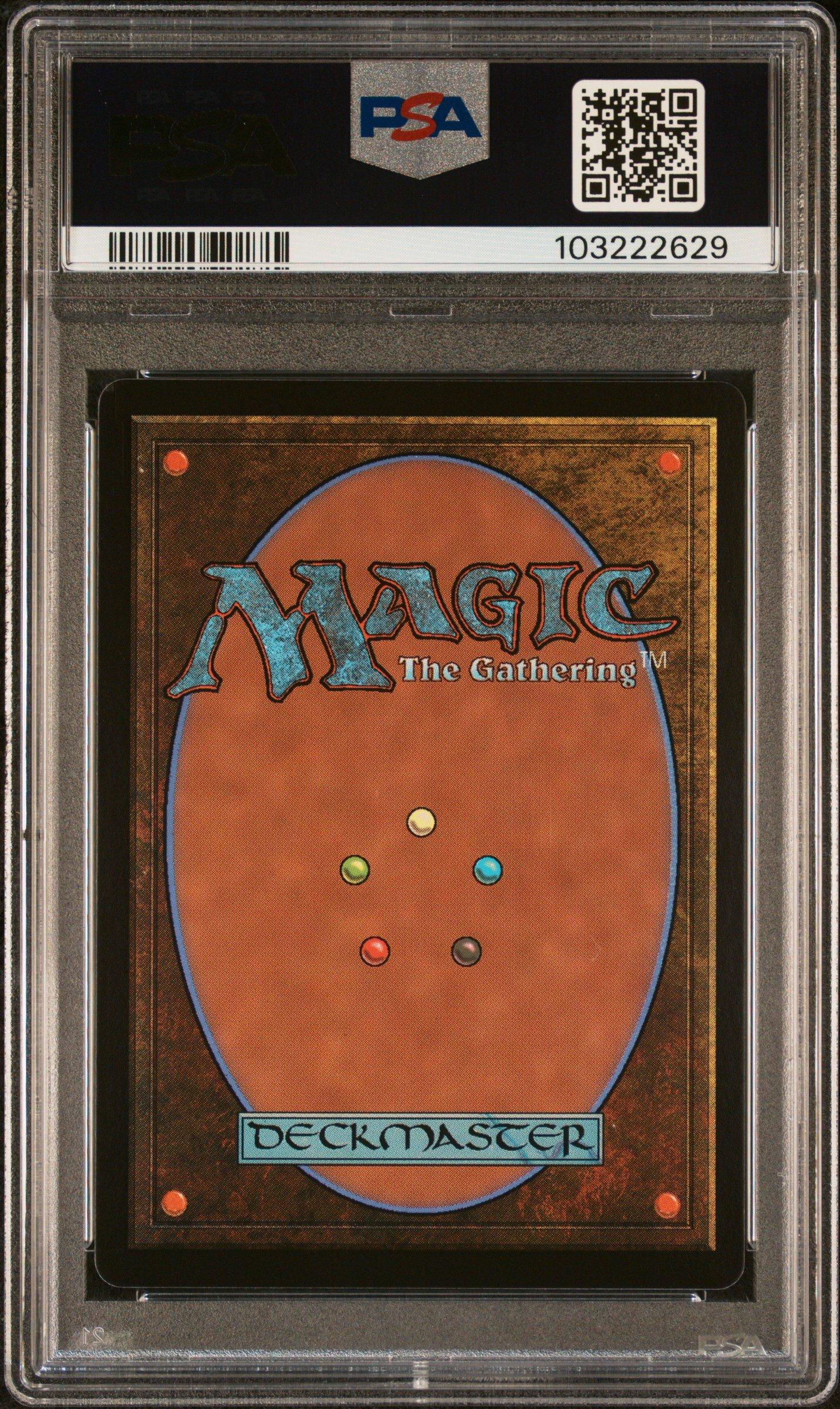 2024 Magic The Gathering Foundations 429 Llanowar Elves Japan