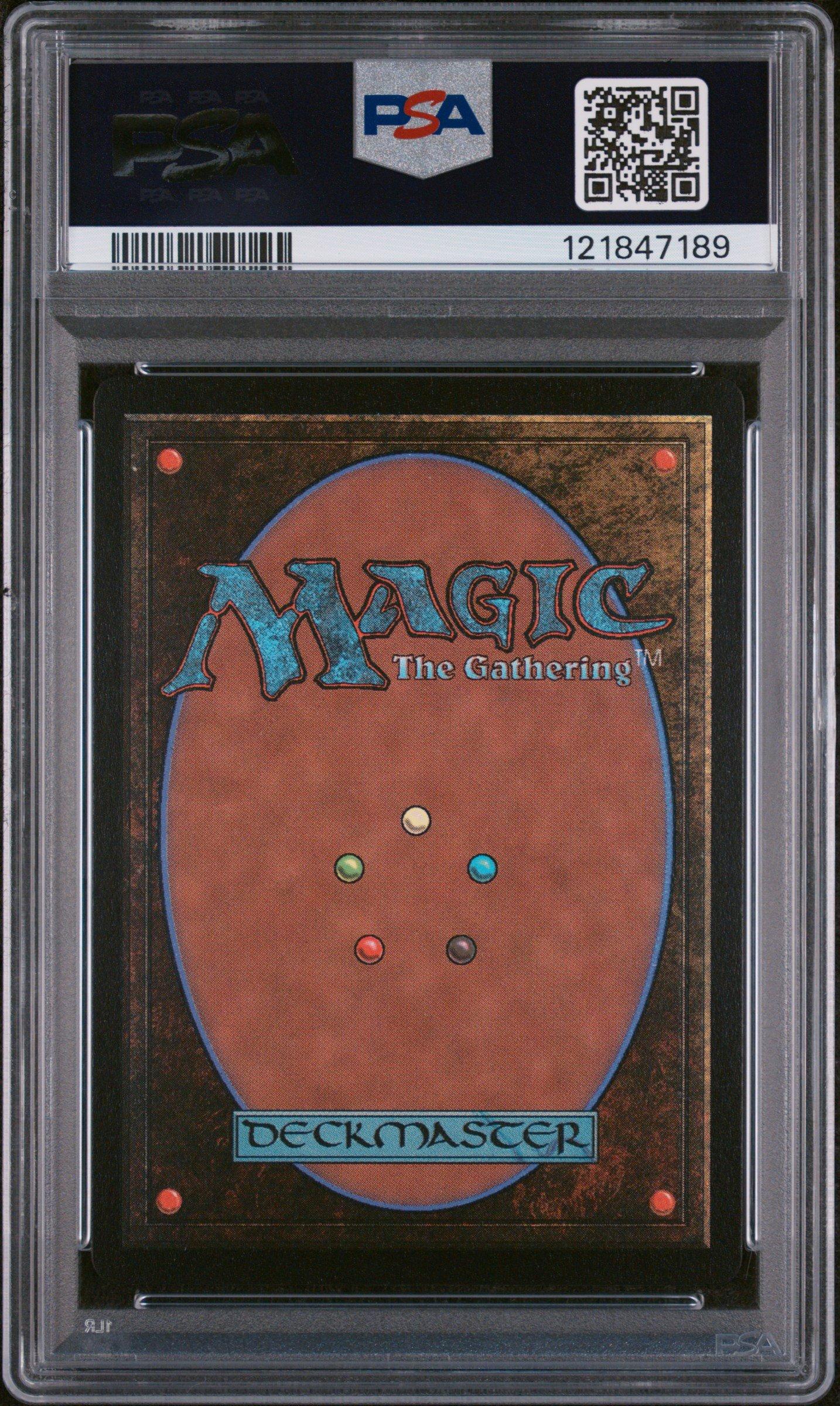 2024 Magic The Gathering Bloomburrow 345 Baylen, The Haymaker