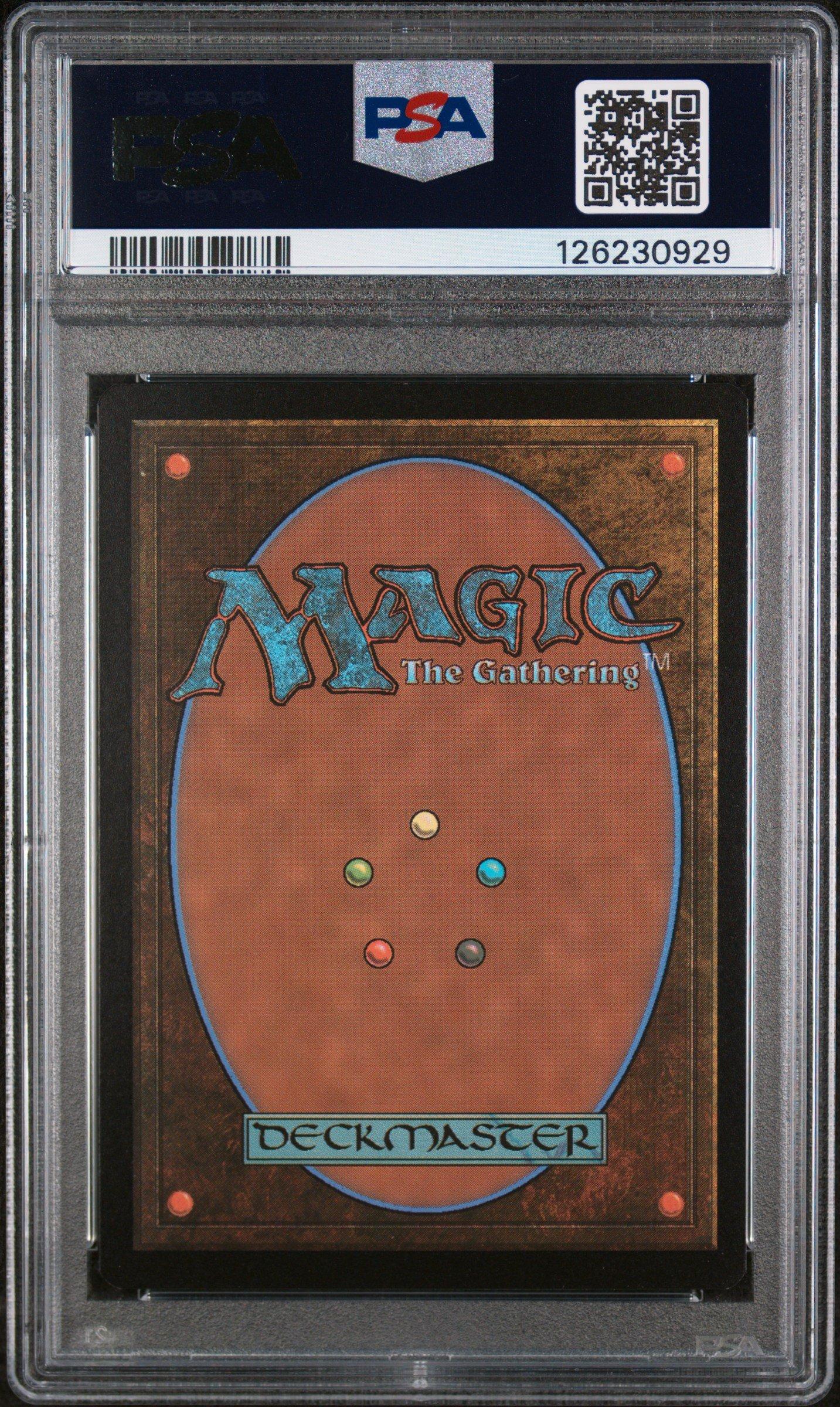 2025 Magic The Gathering Final Fantasy 0210 Traveling Chocobo PSA