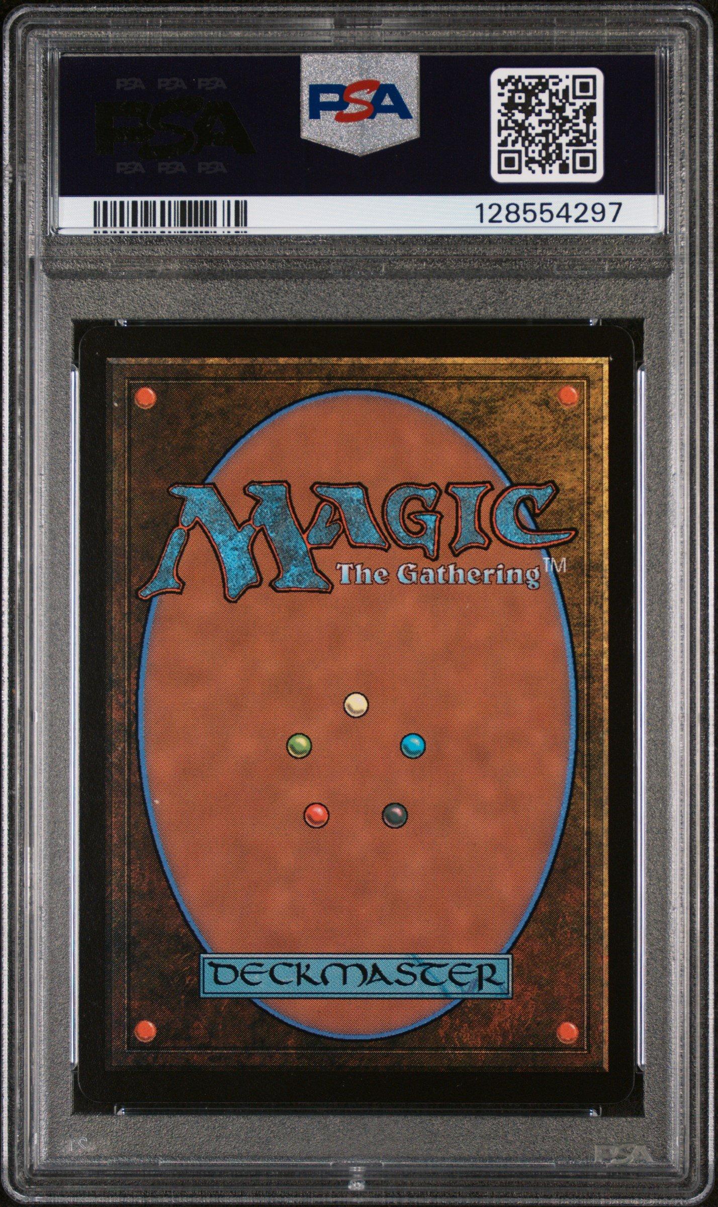 2025 Magic The Gathering Final Fantasy 0248 Vivi Ornitier PSA 10