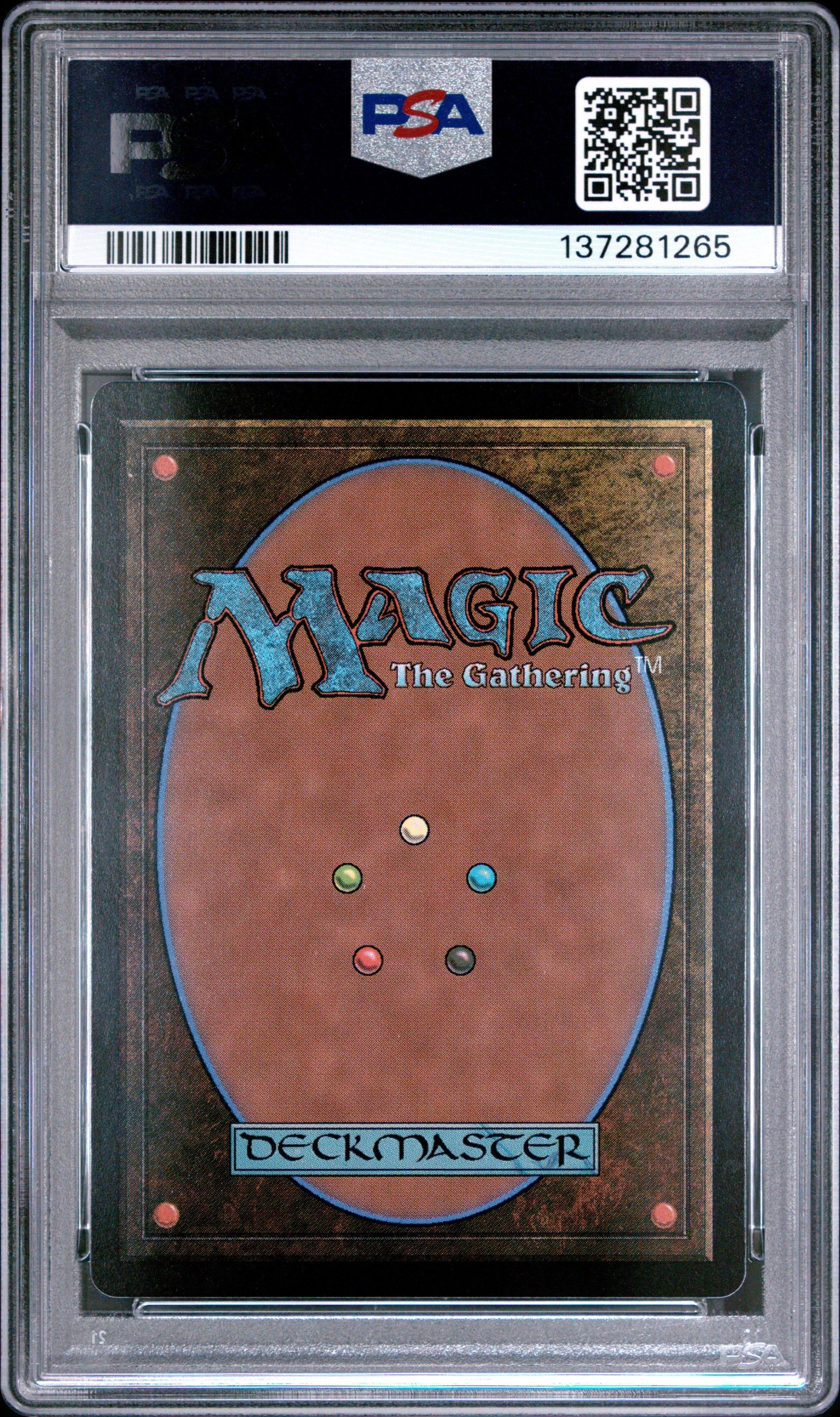 2025 Magic The Gathering Final Fantasy 0210 Traveling Chocobo PSA